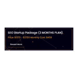 SEO Startup Package (3 MONTHS PLAN).