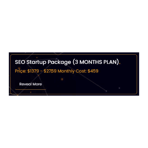 SEO Startup Package (3 MONTHS PLAN).