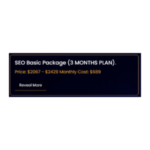 SEO Basic Package (3 MONTHS PLAN).