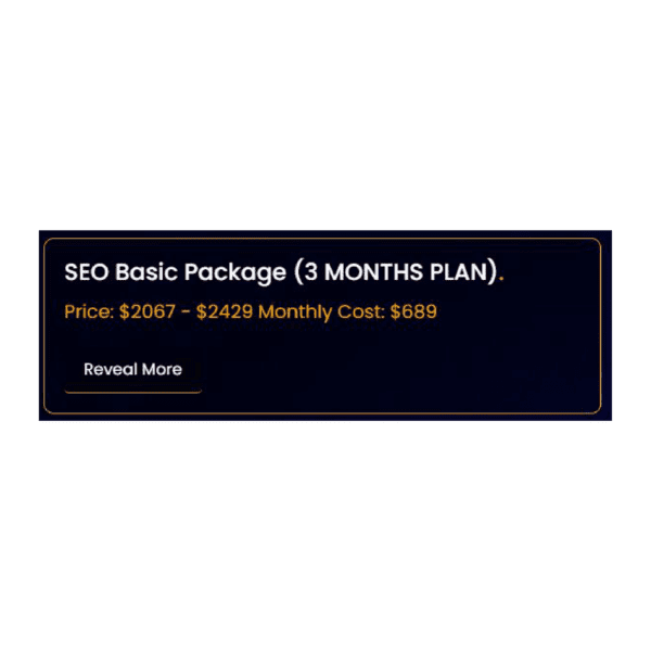 SEO Basic Package (3 MONTHS PLAN).