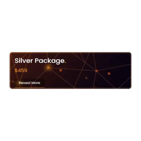 Website Design and Development Silver Package
